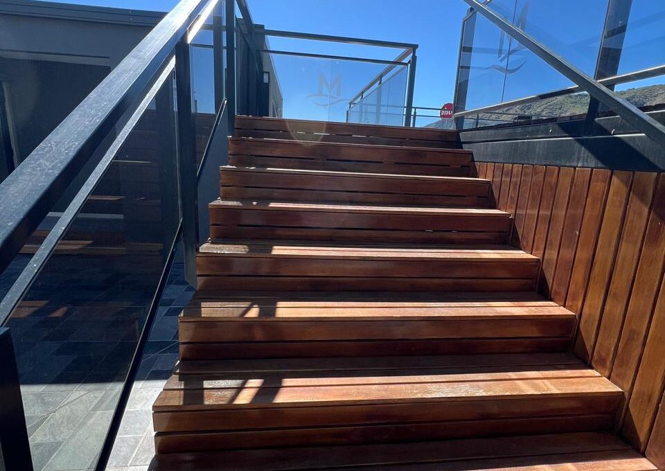 WhatsApp Image 2026-02-14 at 1.31.08 AM (1) - copia