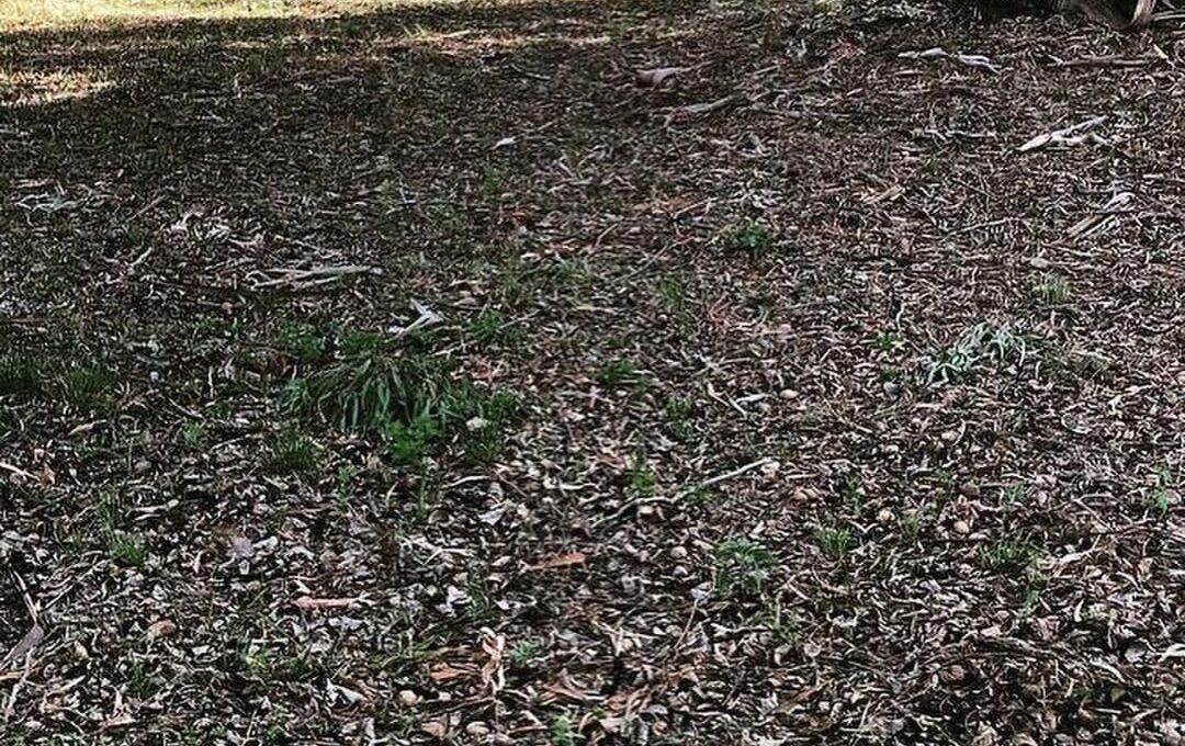 WhatsApp Image 2022-06-23 at 9.50.40 PM (1)