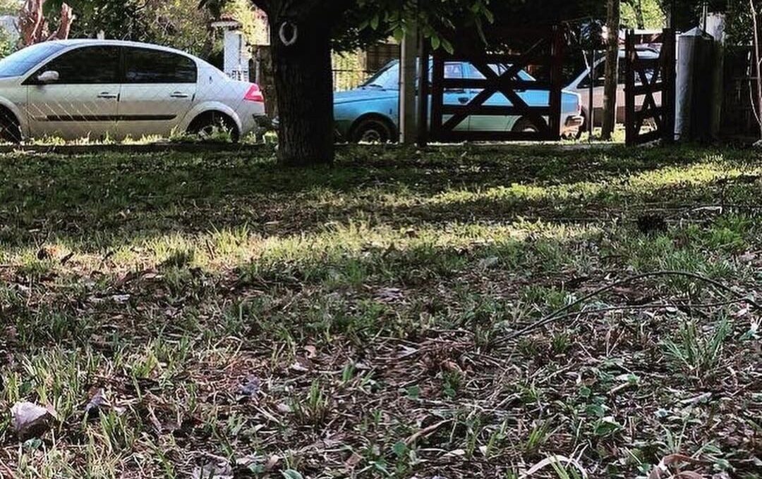 WhatsApp Image 2022-06-23 at 9.50.40 PM