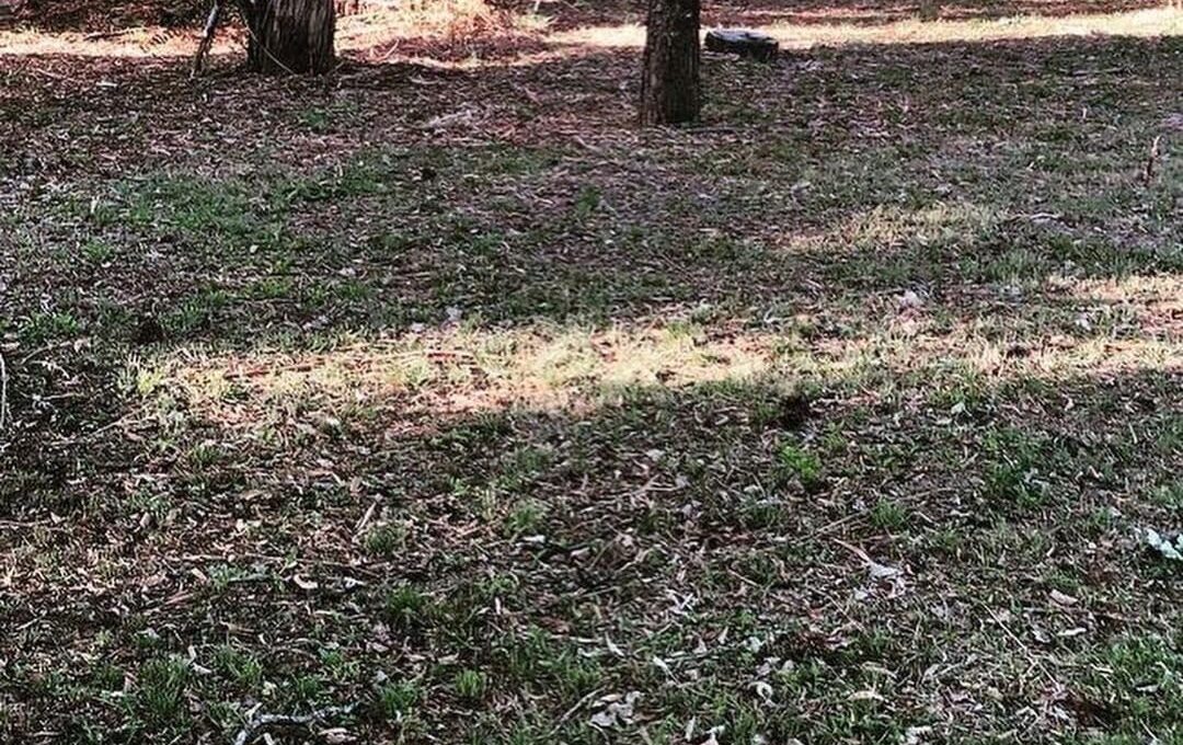 WhatsApp Image 2022-06-23 at 9.50.41 PM