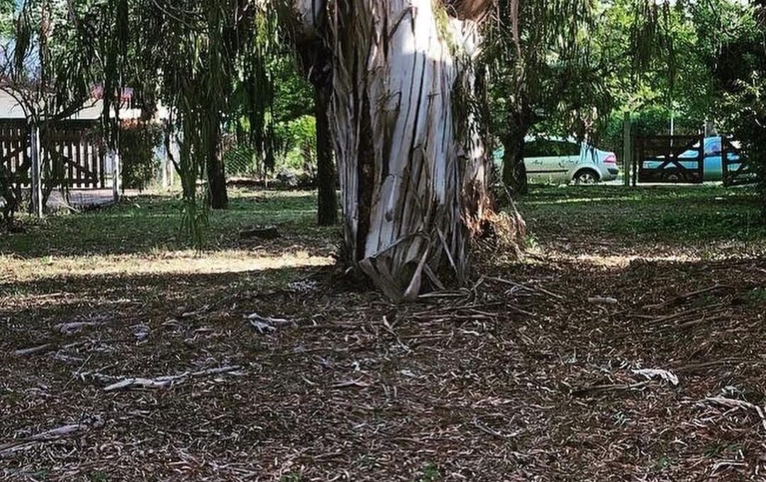 WhatsApp Image 2022-06-23 at 9.50.42 PM (2)