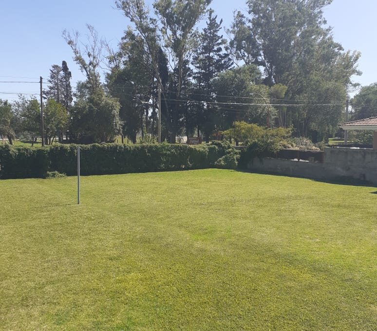 WhatsApp Image 2021-06-30 at 20.46.36 (2)