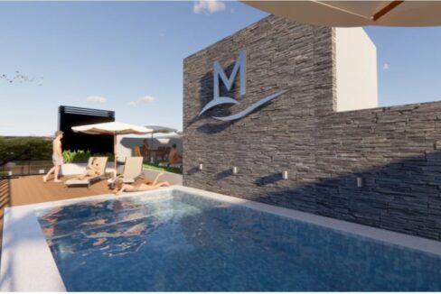 Imagen1