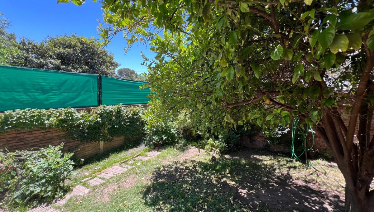 WhatsApp Image 2025-11-19 at 9.43.13 PM (5)