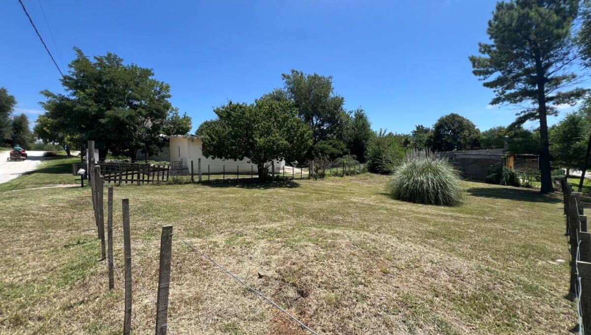 WhatsApp Image 2026-02-20 at 11.36.39 AM (3)