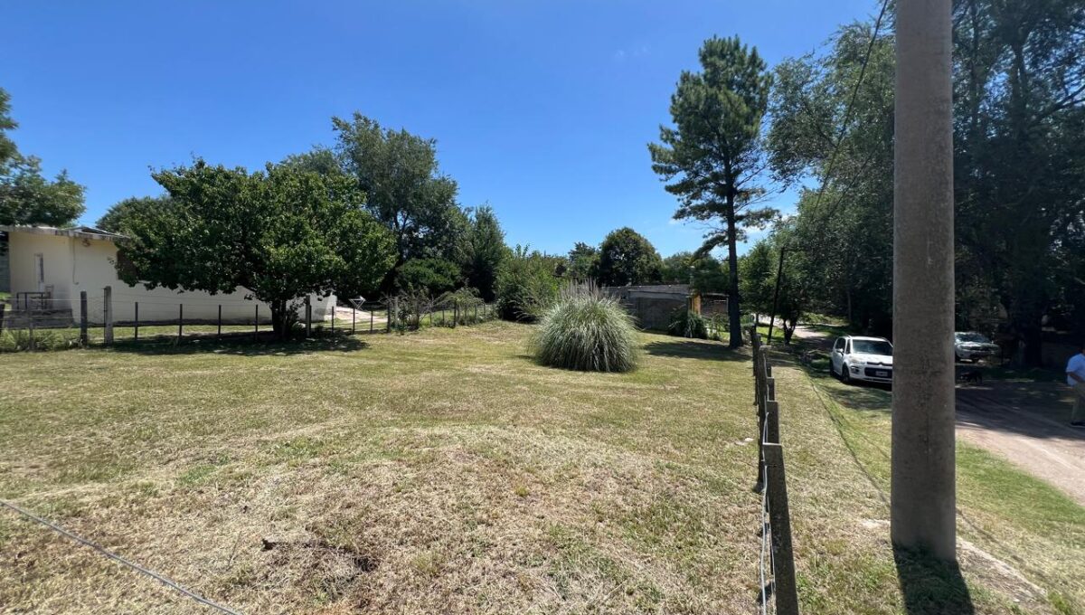 WhatsApp Image 2026-02-20 at 11.36.39 AM (4)