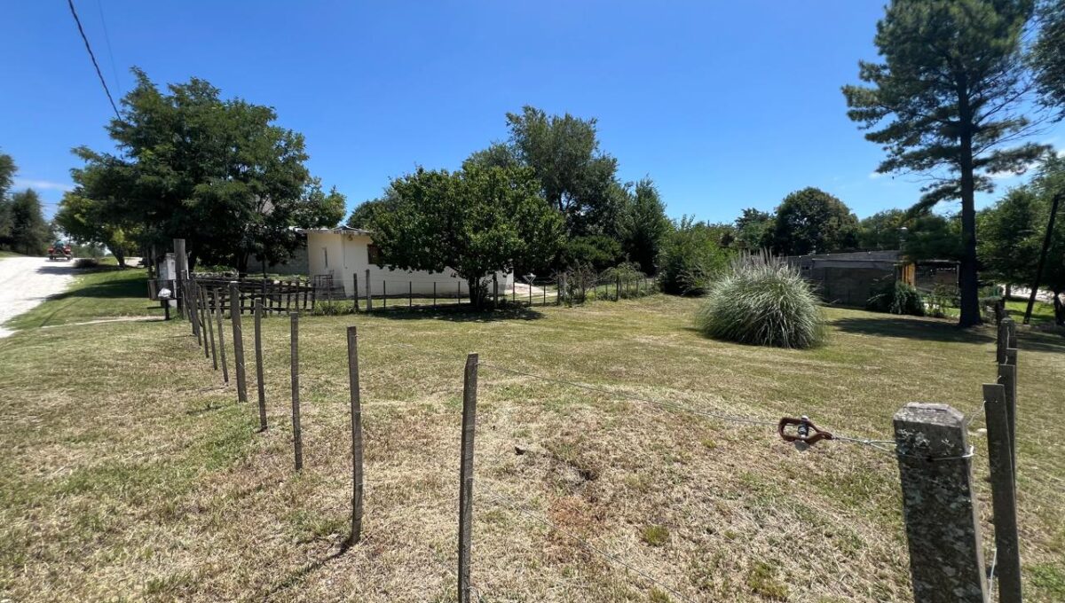 WhatsApp Image 2026-02-20 at 11.36.39 AM (5)