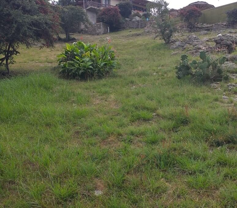 WhatsApp Image 2026-04-04 at 11.30.54 AM