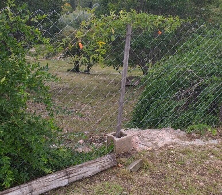 WhatsApp Image 2026-04-04 at 11.30.56 AM (3)