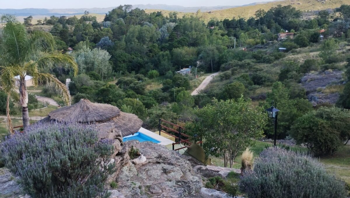 WhatsApp Image 2026-04-04 at 11.31.34 AM