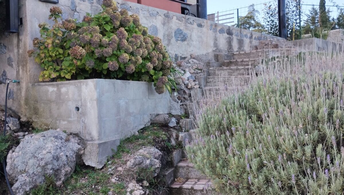 WhatsApp Image 2026-04-04 at 11.31.37 AM