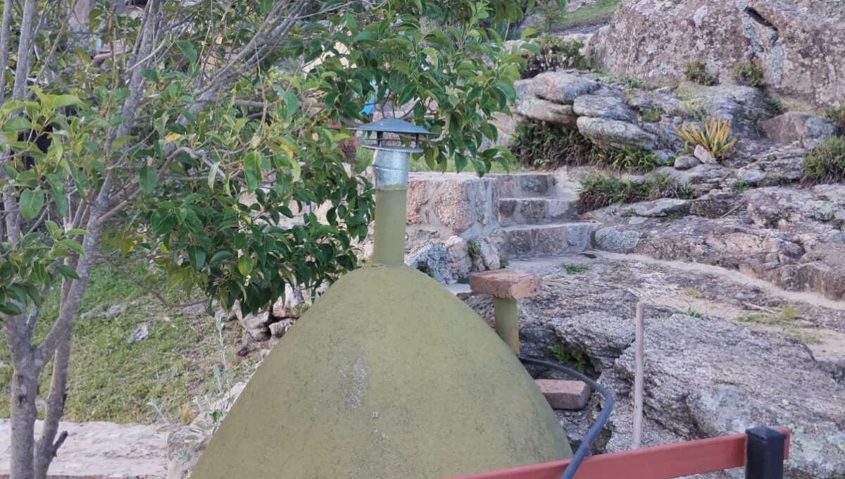 WhatsApp Image 2026-04-04 at 11.31.37 AM (3)