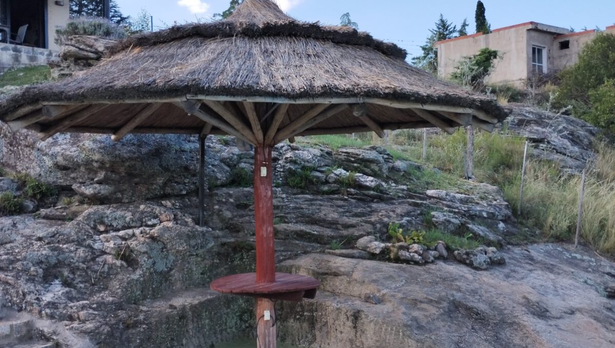 WhatsApp Image 2026-04-04 at 11.31.38 AM