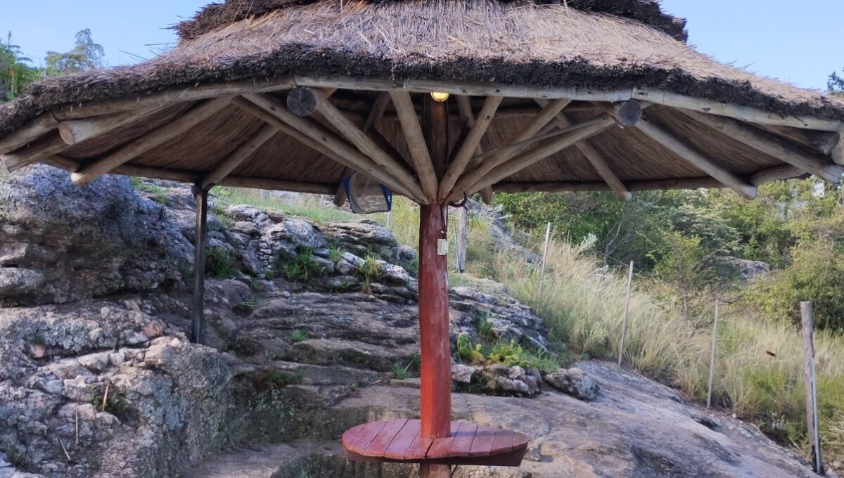 WhatsApp Image 2026-04-04 at 11.31.38 AM (2)