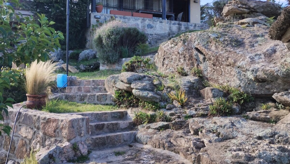 WhatsApp Image 2026-04-04 at 11.31.40 AM